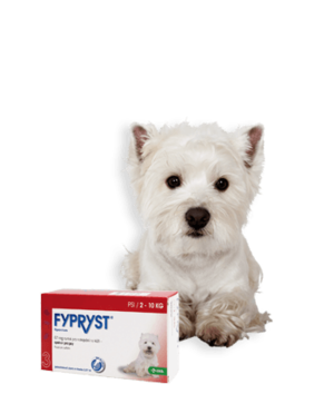 FYPRYST DOGS 1X0.67ML SPOT-ON PRO PSY