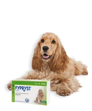 FYPRYST DOGS 1X1.34ML SPOT-ON PRO PSY