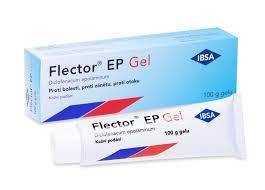 FLECTOR EP GEL 100G - 1