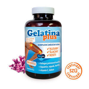 GELATINA PLUS CPS 360 - 1