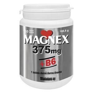 MAGNEX 375MG + B6 TBL.180